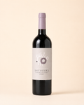 VINO ANTUCURA VISTA FLORES CABERNET FRANC 2023