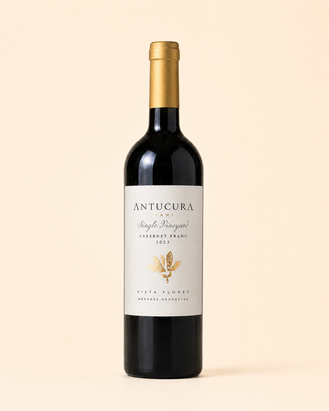 VINO ANTUCURA TANI SINGLE VINEYARD CABERNET FRANC 2022