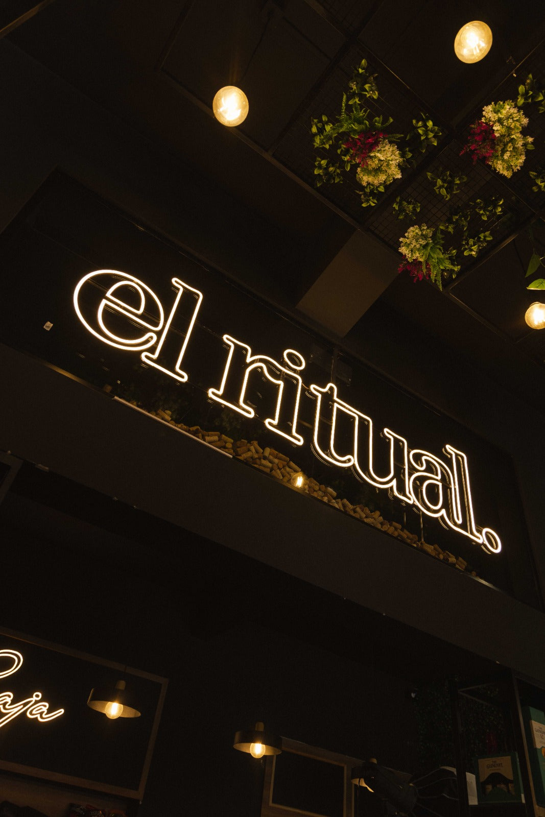 La esencia de El Ritual